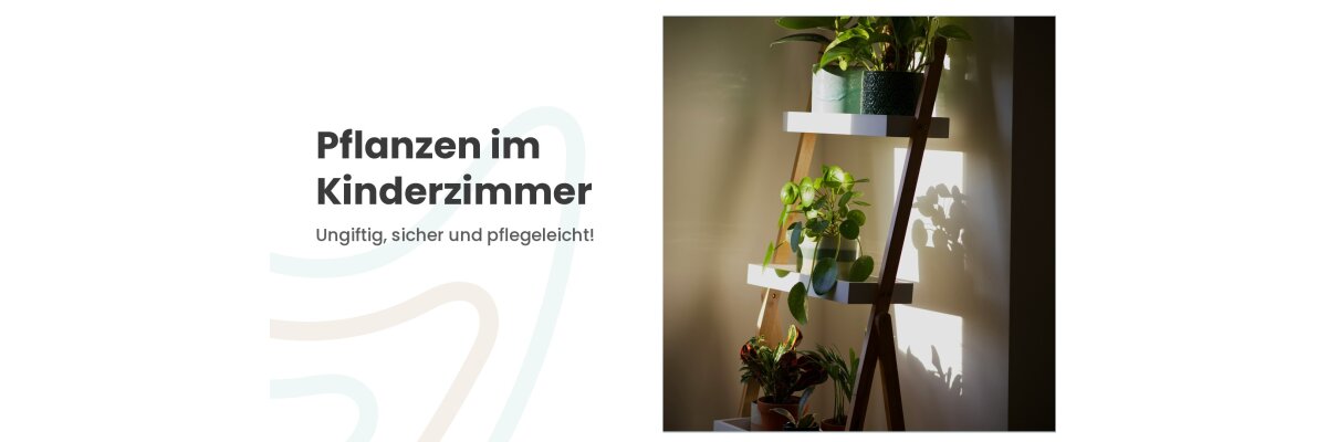 Pflanzen im Kinderzimmer: ungiftig, sicher und pflegeleicht - Pflanzen im Kinderzimmer: ungiftige Arten & Tipps