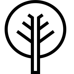Rohstoffe aus heimischen Wäldern